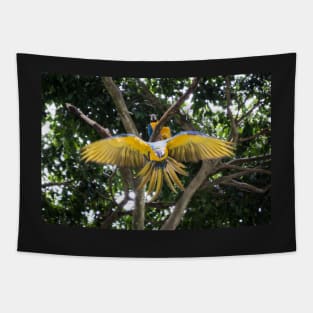 Soaring Beauty: The Majestic Flight of the Macaw Tapestry