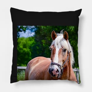 Horse Portrait Pillow