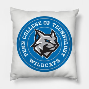 PC - Circle Pillow