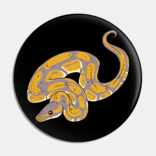 Banana Ball Python Pin