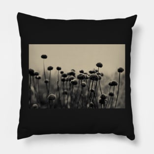 Field of Dreams Pillow