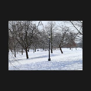 Snowy Park Landscape T-Shirt