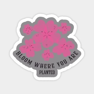 Bloom where you are Magnet