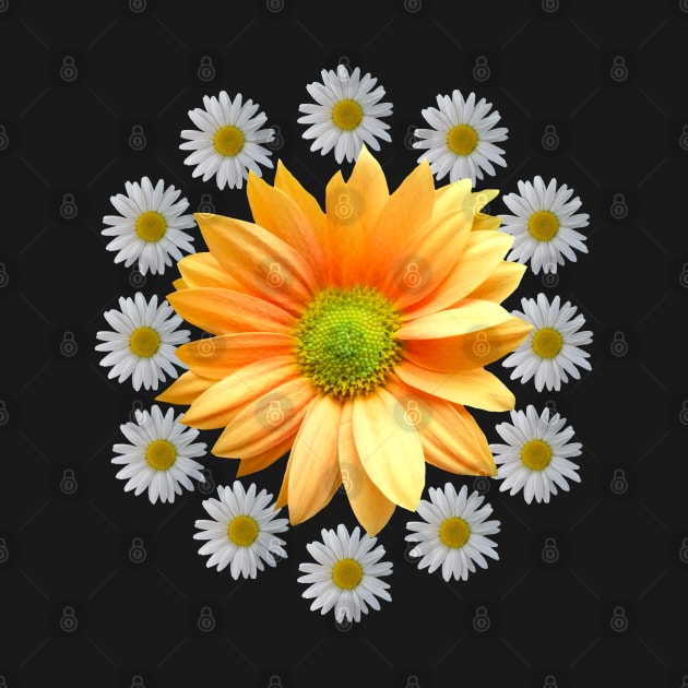 daisy flower daisies bloom floral blooming florets by rh_naturestyles