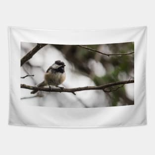 Chickadee Tapestry