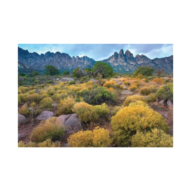 Organ Mountains Chihuahuan Desert by AinisticGina