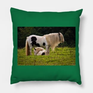 Mother and foal Pillow