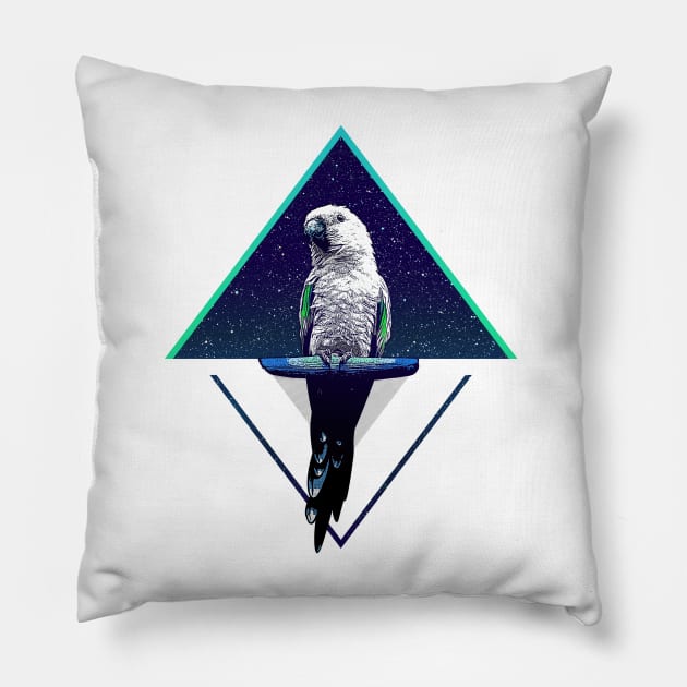 Modern Design Space Sun Conure Pillow by BirdNerd