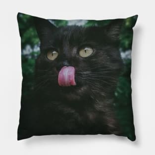 black cat Pillow