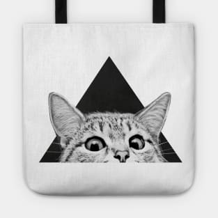 Are you asleep yet? Tote