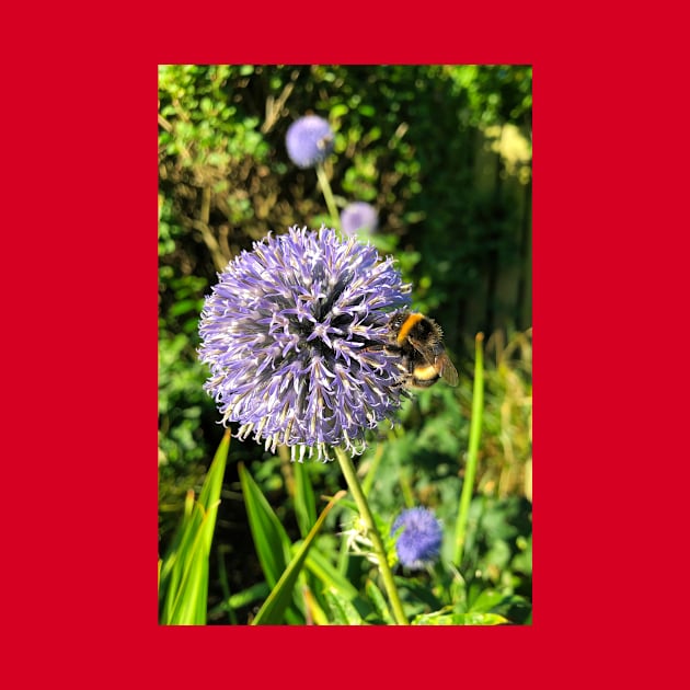 Bee gathering pollen by Violaman