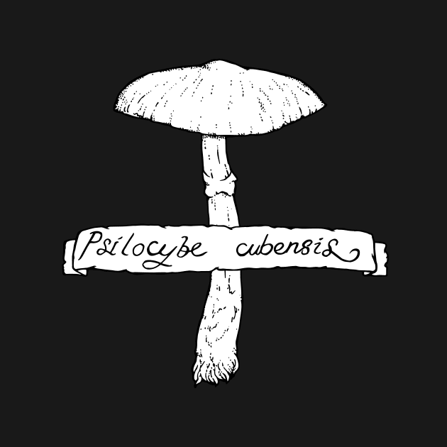 Psilocybe cubensis by bangart