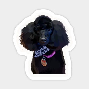 blacky dog vector Magnet