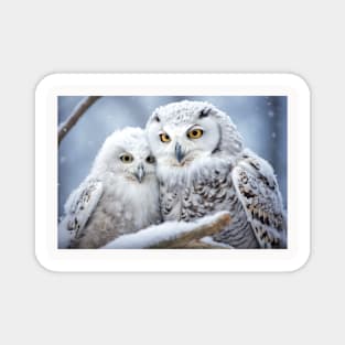 Owl Animal Bird Beauty Freedom Wilderness Enchanting Magnet