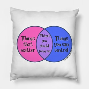 Venn Diagram: Things that matter vs. Things you can control = Things you should focus on Pillow