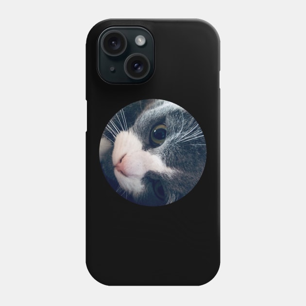 Playful Cat / Pictures of My Life Phone Case by nathalieaynie