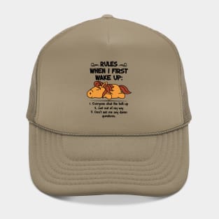 RULES WHEN I FIRST WAKE UP: 1. Everyone shut the hell up 2. Get out of my way 3. Don't ask me any damn questions. Hat