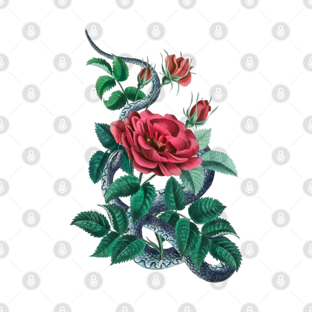 Red rose and blue snake by CatyArte