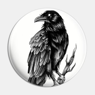 Raven illustration Pin