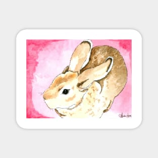 Daily Doodle 1 - Mini Rex Rabbit Watercolor Magnet