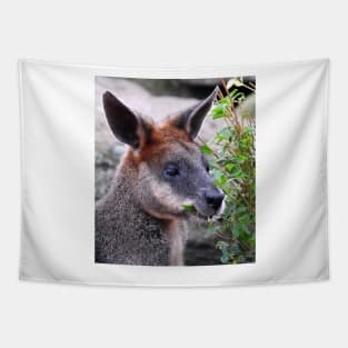 Swamp Wallaby Tapestry