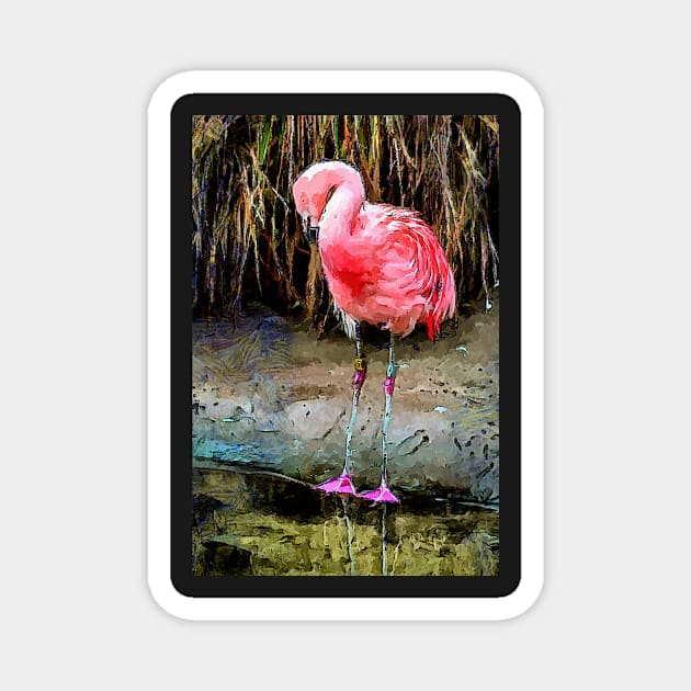 Pink Flamingo Digitized Watercolor Magnet by SeaChangeDesign