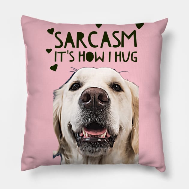 Sarcasm, its how I hug Pillow by PersianFMts