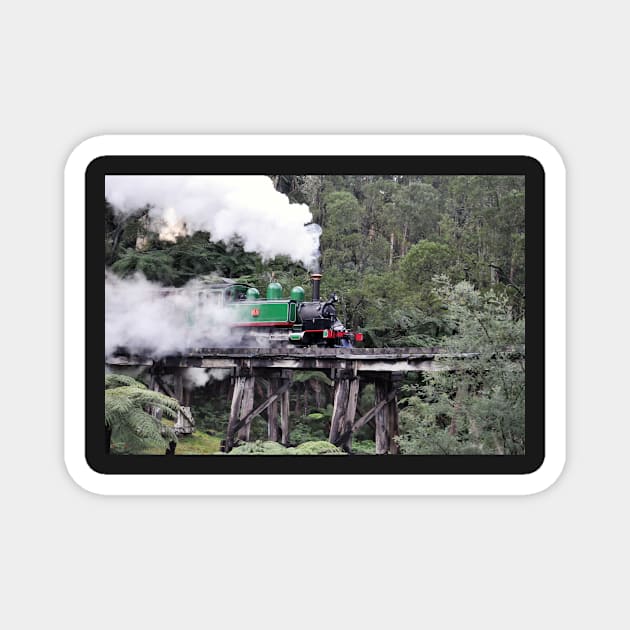 Puffing Billy on historical Trestle Bridge, Dandenong Ranges Magnet by kathiemt