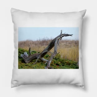 Coastal Driftwood Pillow