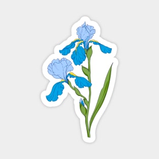 blue iris. branch with blue iris flower Magnet