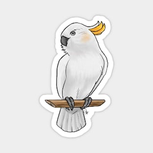 Bird - Citron Cockatoo - Crest Down Magnet