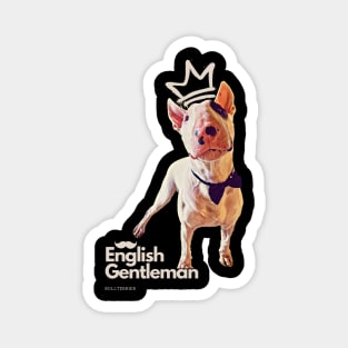 Bullterrier, English Gentleman, Dog, Funny dog, Magnet