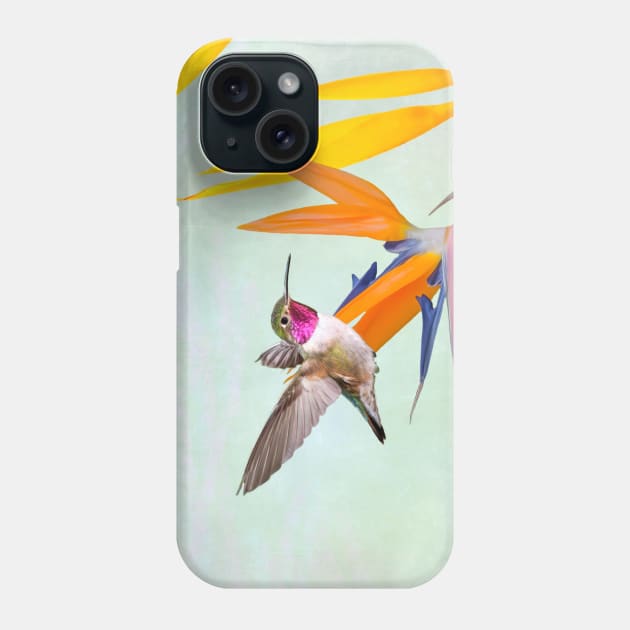 Hummingbird and Bird of Paradise Phone Case by lauradyoung