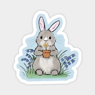 Spring easter bunny Magnet