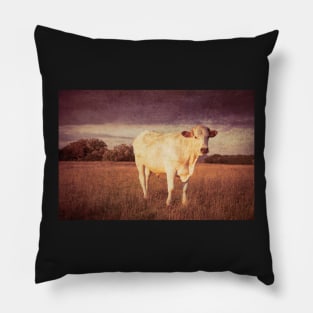 Bullock#11 Pillow