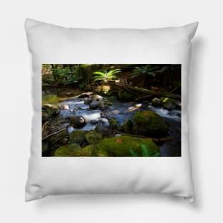 Taggerty Cascades #3 Pillow