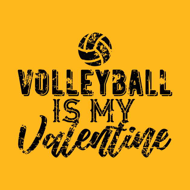 Volleyball is My Valentine Gift by DimDom