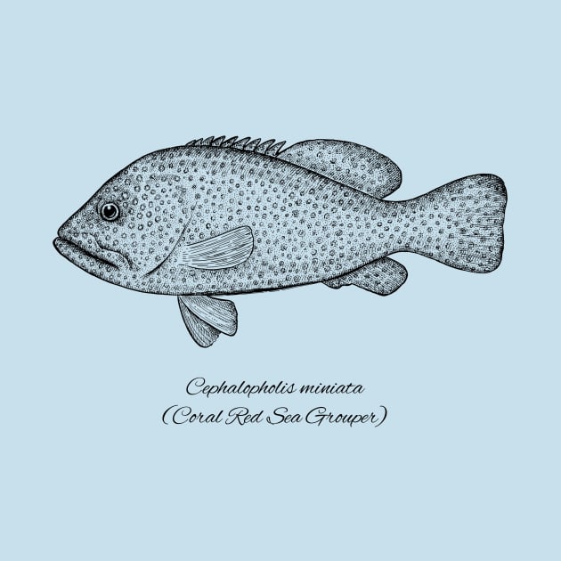 Cephalopholis miniata by eugeniahauss