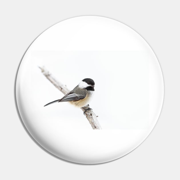 Algonquin Chickadee Pin by Jim Cumming