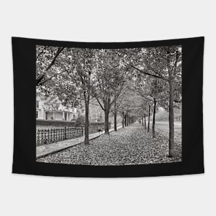 Autumn Street Scene, 1899. Vintage Photo Tapestry