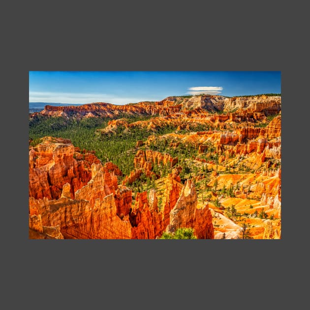 Bryce Canyon National Park by Gestalt Imagery