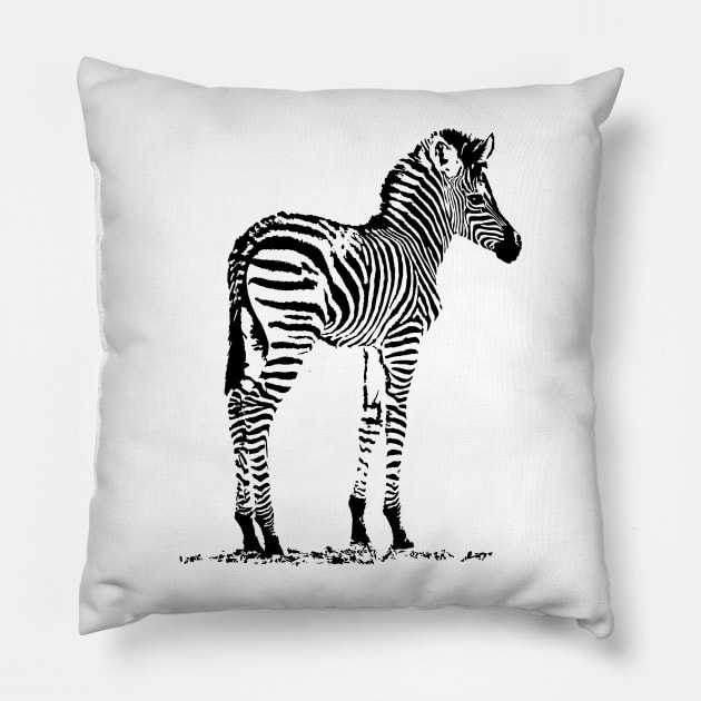 Charming Zebra Foal | African Wildlife Pillow by scotch