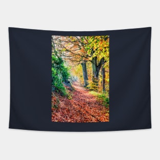 Autumn Leaves Walk Tapestry