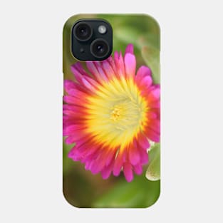 Delosperma cooperi  Hot Pink Wonder  &#39;Wowdry1&#39;  Wheels of Wonder Series Phone Case