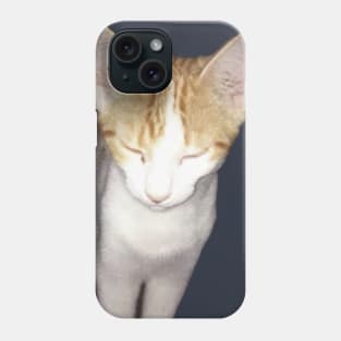 Kitty Zen Mode Phone Case