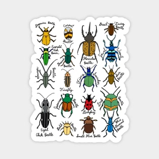 Beetles Magnet