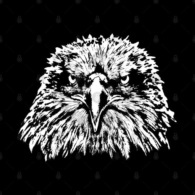 Bald Eagle Head by R LANG GRAPHICS