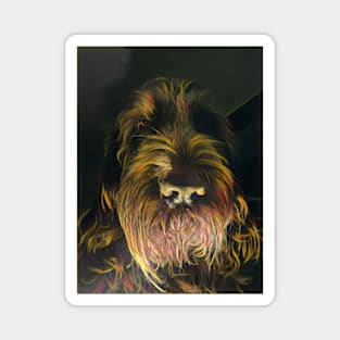 Spinone Ghost Stories Magnet