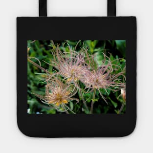 Wildly Whirling Tote