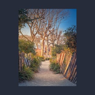 Narrow footpath in the park T-Shirt